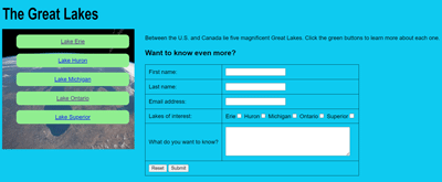 Website Coding final project
